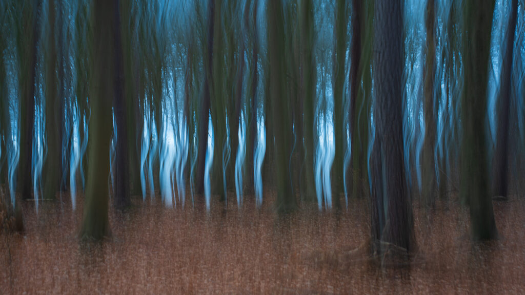 Andreas Hörichs
Irrlichter
Fotografie, 2025