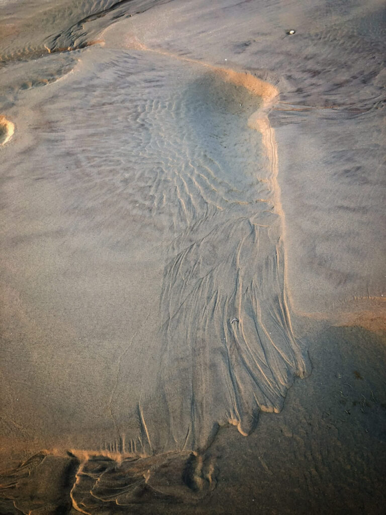Anke Larro-Jacob
Kunst des Meeres I
Fotografie, 60 x 40 cm, 2023